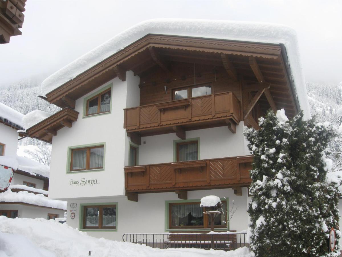 Haus Sonja Appartement Finkenberg Buitenkant foto